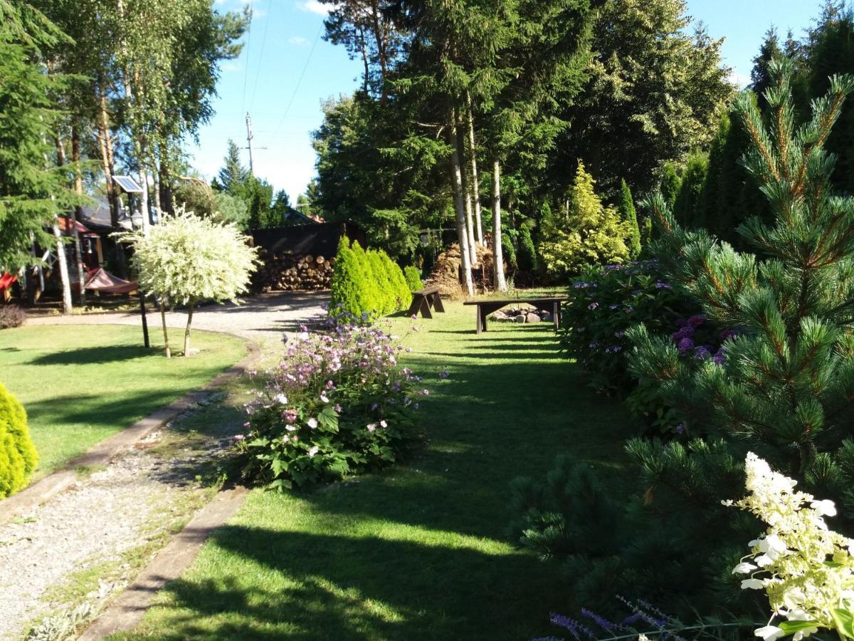 黑白山林小屋 Kołczewo 外观 照片